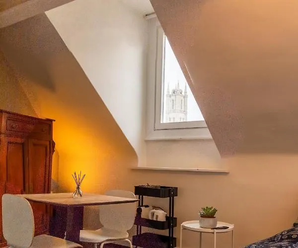 Brabantdam 44 Self Check In Gasthof Gent